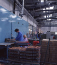 Ateliers moteurs, Mme TH. Bertin et M. Vimont : ektachrome, Philippe Giraud (juin 1979).