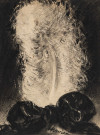Plume d'Autruche, fusain, Louise Jeanne Aimée Hervieu, (24.5cm x 8.5cm), signé en bas au centre, collection Bismuth-Etcheverry, acquisition 2024, AMA.