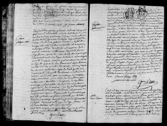Acte de naissance de TISON Pierre Jean (31 mai 1794),acte de naissance de CAMU Jacques René (2 juin 1794),acte de naissance de BOURDIN Sophie Marie (5 juin 1794),acte de naissance de PILOU Anne Suzanne (6 juin 1794).
