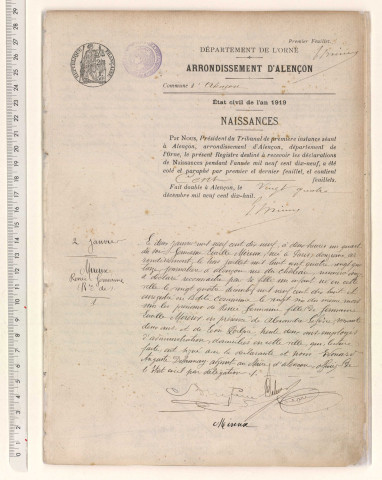 Registre des actes de naissance (2 janvier 1919-28 décembre 1919)