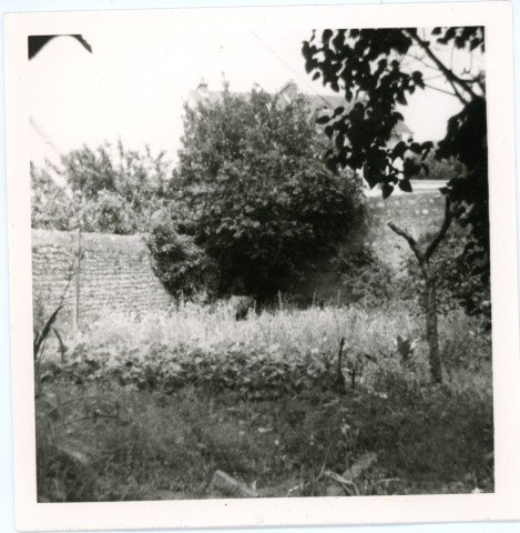 Jardin des maisons 47-51 rue Cazault, au fond à droite, mur du couvent des Capucins, photographie noir et blanc, 8.8 x 8.8, Maryvonne Thoréton (1971).