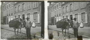 Alençon (Orne), Rue de Bretagne, transport du petit bois, personnage tenant un âne chargé [vers 1910], DR, AMA.