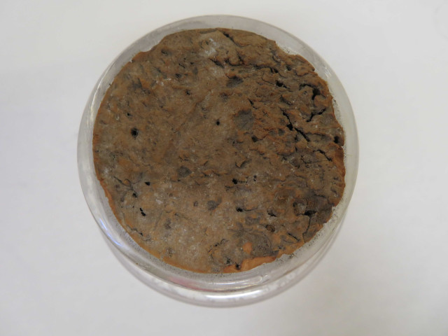 Série de 28 flacons en verre blanc, bleu ou ambré, conditionnements en carton ou plastique, bouchés émeri, en liege, en métal ou en plastique, anciennes étiquettes (Fin XIXe siècle - XXe siècle).