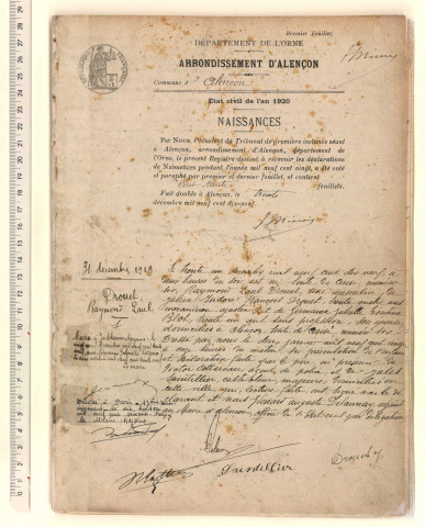Registre des actes de naissance (31 décembre 1919-31 décembre 1920)