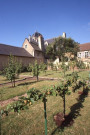 Verger pédagogique, ektachrome couleur, Direction de la communication (5x5cm) (1999),