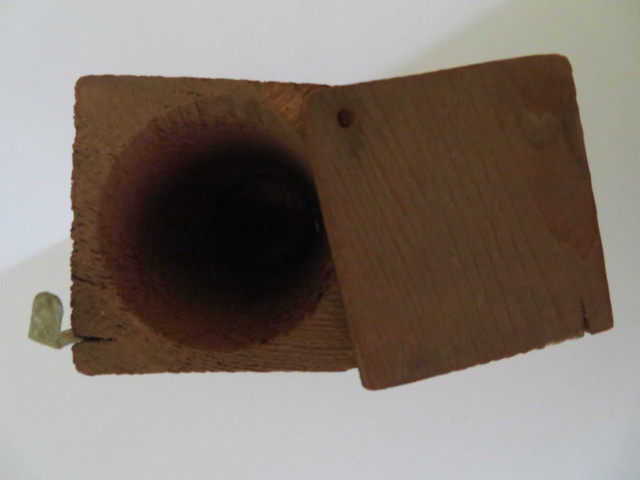 Nécessaire pour prélèvements de crachats et envoi par la poste (1950-1980).