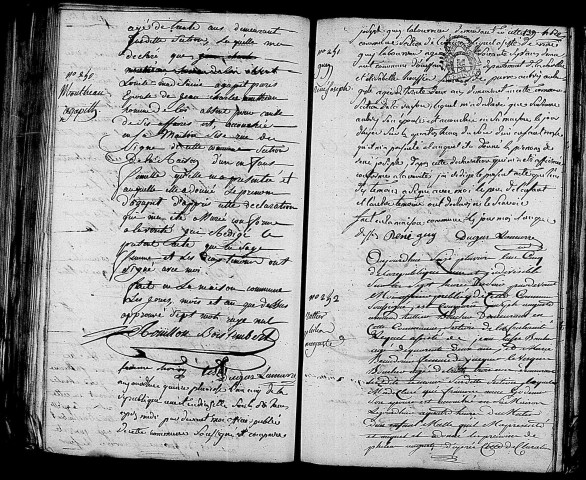 Acte de naissance de MOUTHEAU Agapit (3 février 1797),acte de naissance de GUY René Joseph (2 février 1797),acte de naissance de RATTIER Phileas Auguste (3 février 1797).