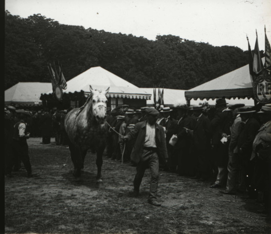 Alençon (Orne), concours régional des animaux reproducteurs de la race chevaline au champ de Foire [vers 1910], DR, AMA.