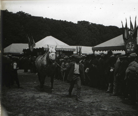 Alençon (Orne), concours régional des animaux reproducteurs de la race chevaline au champ de Foire [vers 1910], DR, AMA.