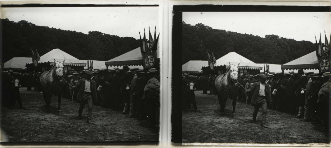 Alençon (Orne), concours régional des animaux reproducteurs de la race chevaline au champ de Foire [vers 1910], DR, AMA.