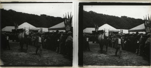 Alençon (Orne), concours régional des animaux reproducteurs de la race chevaline au champ de Foire [vers 1910], DR, AMA.