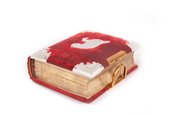 Ancien album de la famille Féron (fin XIXe siècle) (collection particulière Maryvonne Thoréton, 2018, AMA) : lot de 5 photographies (Olivier Héron).