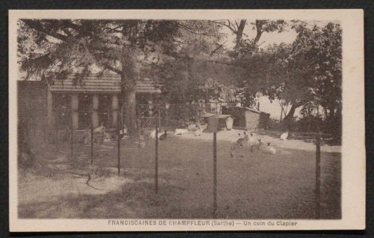 Champfleur (Sarthe), Couvent des Franciscaines de l'Immaculée Conception, un coin du clapier, carte postale ancienne noir et blanc, sd, (14x9), acquisition 2020, AMA.