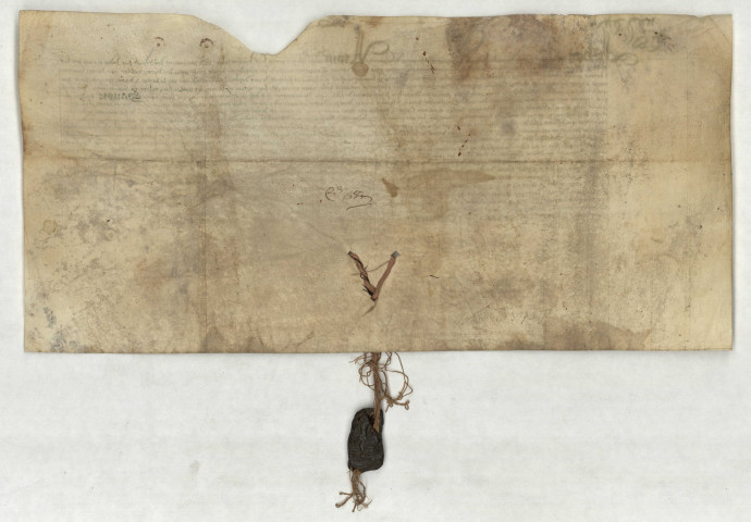 Charte de Jean II, duc d'Alençon en date du 5 décembre 1449, confirmant l'anoblissement de Jean du Mesnil et sa descendance, contresignée par Jean Le Beauvoisien, maître d'hôtel du duc d'Alençon, comte du Perche, vicomte de Beaumont et seigneur de La Guerche : parchemin, sceau brisé en cire brune sur lacs de soie rouge et brune.