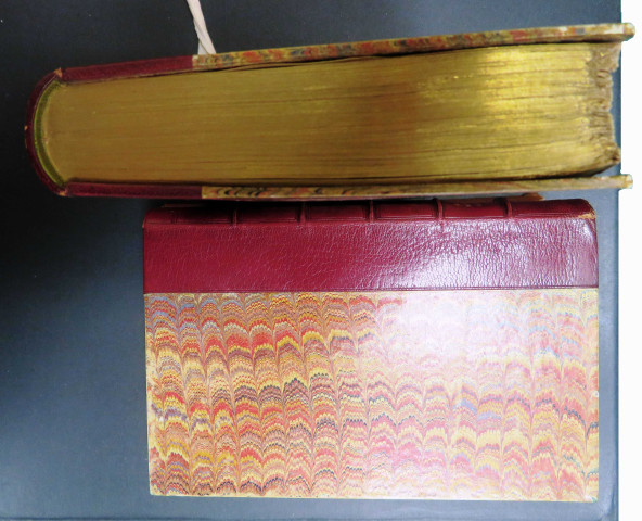 Odolant Desnos, Mémoires historiques sur la ville d'Alençon et ses seigneurs ; précédés d'une dissertation sur les peuples qui ont habité anciennement le duché d'Alençon et le Comté du Perche et sur l'état ancien de ces pays, Alençon, JZ Malassis le Jeune, 1787, 2 vols-in8 (de Ixiv-493pp et 628pp-23pp (tables)-6pp (errata)-6pp (additions de l'auteur)-(2)pp illustrés de quelques bandeaux et vignettes, d'un plan hors-texte, de 6 planches hors texte dont 4 planches dépliantes. Edition originale, (exemplaire d'Auguste Poulet-Malassis avec ex-Libris). Ex-Libris (A.P.M. "Je l'ai") d'Auguste Poulet-Malassis. Tome 1.