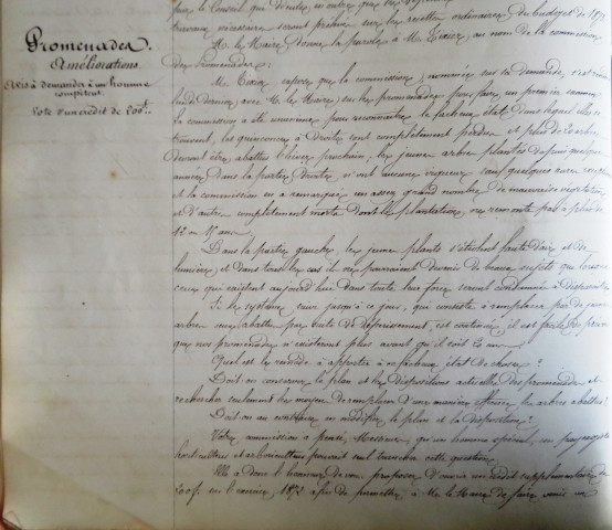 Les Promenades publiques d'Alençon, projet d'aménagement : délibérations (22 août 1872).