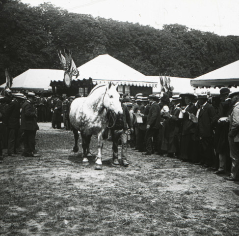 Alençon (Orne), concours régional des animaux reproducteurs de la race chevaline au champ de Foire [vers 1910], DR, AMA.