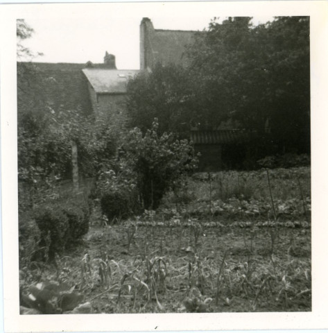 Au premier plan : le jardin potager, cassis. En arrière plan : vue de l'appentis et la façade arrière des maisons 47-51 rue Cazault, photographie noir et blanc, prise depuis le milieu du jardin potager, 8.8 x 8.8, Maryvonne Thoréton (1971).