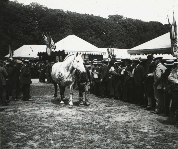Alençon (Orne), concours régional des animaux reproducteurs de la race chevaline au champ de Foire [vers 1910], DR, AMA.