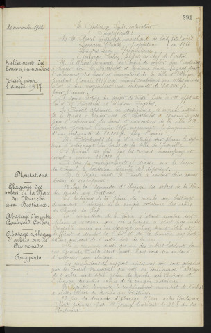Commissaires répartiteurs, propositions pour 1917. Enlèvement des boues et immondices, M. BERTHELOT et Mme Veuve LEGROS, traité pour l'année 1917. Plantations, élagage et abattage d'arbres, Place du Marché aux Bestiaux, Boulevard Colbert, M. JOUNY habitant le n°8 du Boulevard Colbert, Promenades, rapports