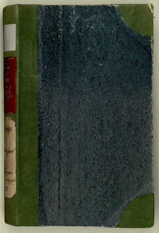 Registre des délibérations du conseil municipal (01 ventôse an V/19 février 1797-5è jour complémentaire an VI/ 21 septembre 1798).