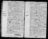 Acte de naissance de MARECHAL Marie Virginie (31 juillet 1796),acte de naissance de Benjamin Nicolas enfant trouvé (1er août 1796).