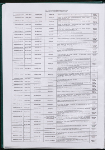 Registre des délibérations et des décisions 2019, tome 2 (20 juin 2019 au 3 juillet 2019).