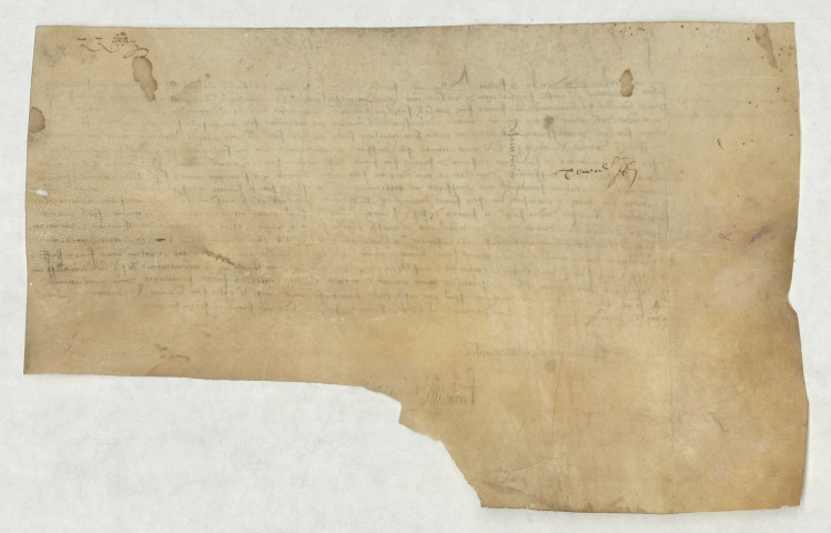 Arrêt du conseil en date du 14 février 1476, adressé à la Chambre des Comptes pour l'entérinement des lettres de noblesse de Jean du Mesnil.